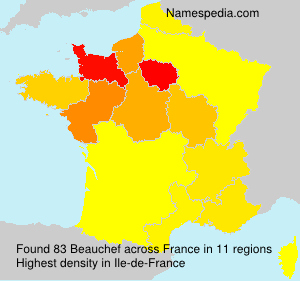 Surname Beauchef in France