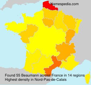Surname Beaumann in France