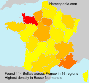 Surname Bellais in France