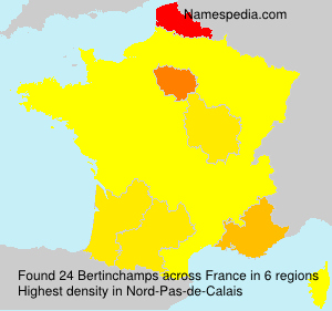 Surname Bertinchamps in France