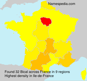 Surname Bical in France