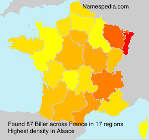 Surname Biller in France