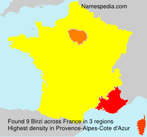 Surname Birzi in France