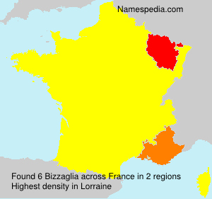 Surname Bizzaglia in France