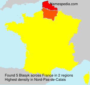 Surname Blasyk in France
