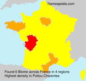 Surname Blome in France