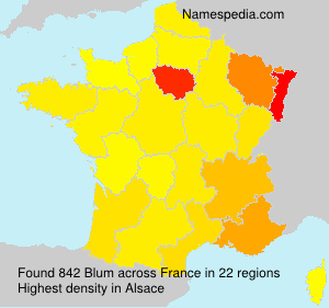 Surname Blum in France