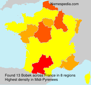 Surname Bobek in France