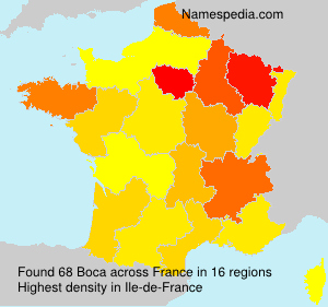 Surname Boca in France