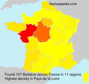 Surname Boisleve in France