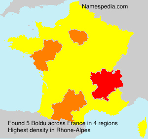 Surname Boldu in France