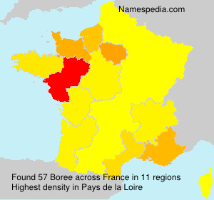 Surname Boree in France