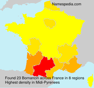 Surname Bornancin in France