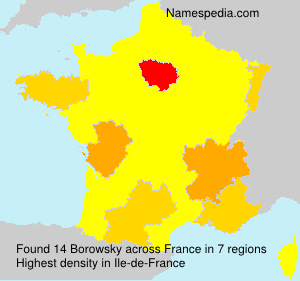 Surname Borowsky in France