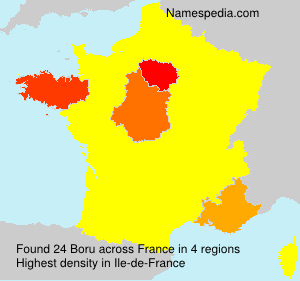 Surname Boru in France