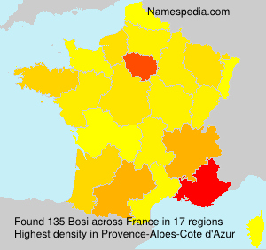 Surname Bosi in France
