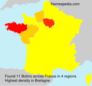 Surname Botino in France