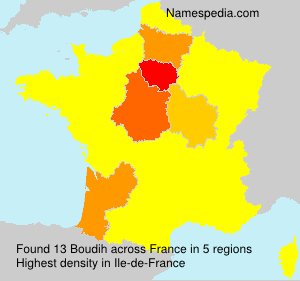 Surname Boudih in France
