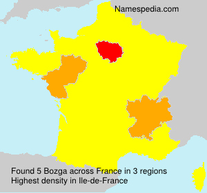 Surname Bozga in France