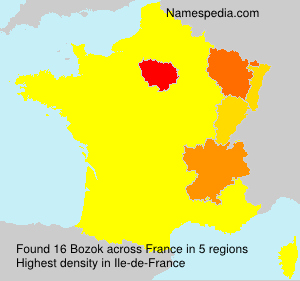 Surname Bozok in France