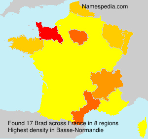 Surname Brad in France