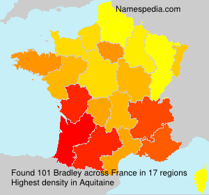 Surname Bradley in France