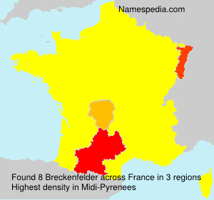 Surname Breckenfelder in France