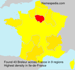 Surname Breleur in France