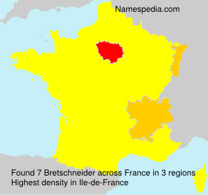 Surname Bretschneider in France