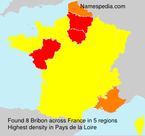 Surname Bribon in France