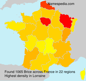 Surname Brice in France