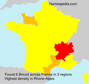 Surname Bricod in France