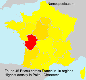 Surname Bricou in France