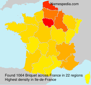 Surname Briquet in France