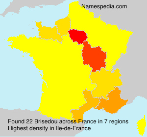 Surname Brisedou in France