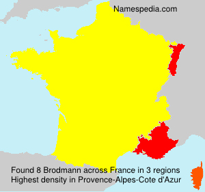 Surname Brodmann in France