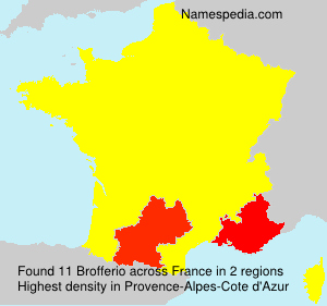 Surname Brofferio in France
