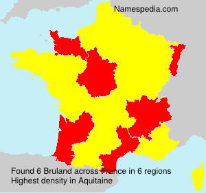 Surname Bruland in France