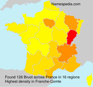 Surname Bruot in France
