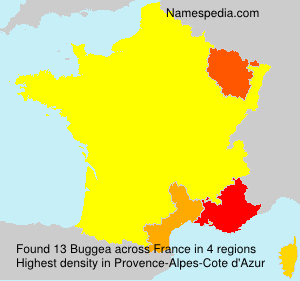 Surname Buggea in France