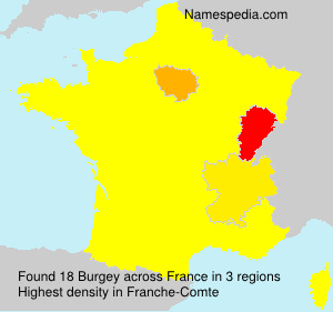 Surname Burgey in France