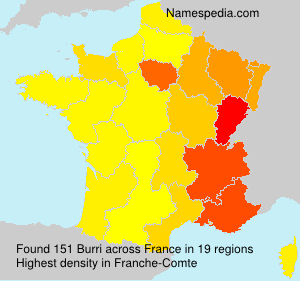 Surname Burri in France
