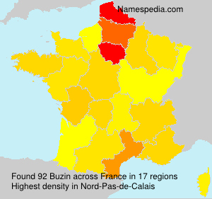 Surname Buzin in France