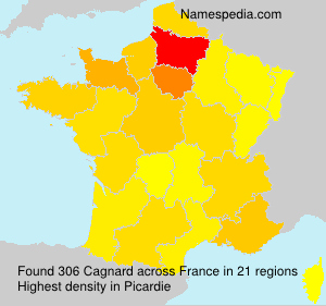 Surname Cagnard in France