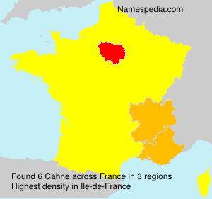 Surname Cahne in France