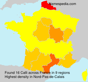Surname Calli in France