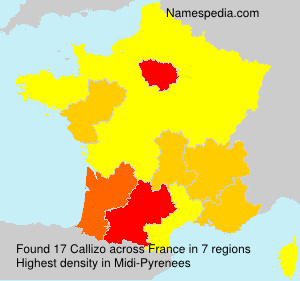 Surname Callizo in France