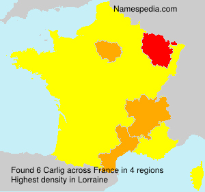 Surname Carlig in France