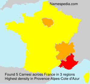 Surname Carnesi in France
