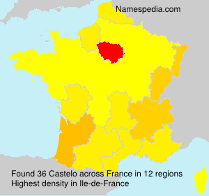 Surname Castelo in France